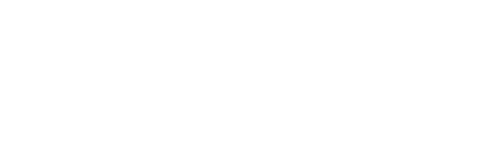 Digicop Demo 3
